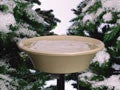Heated Bird Bath With Easy Tilt & Clean 4 Heated Bird Bath With Easy Tilt & Clean - Image 4