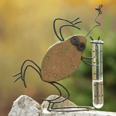 Ceramic Frog Rain Gauge 1 Ceramic Frog Rain Gauge