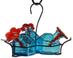 Bouquet Classic Hummingbird Feeder -Pet Supplies Store Bouquet 3 Glass Hummingbird Feeder