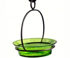 Glass Globe Dish Feeder/Mini-Bath- Red Or Lime 7 Glass Globe Dish Feeder/Mini-Bath- Red Or Lime -Pet Supplies Store COURM33720001