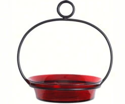 Glass Globe Dish Feeder/Mini-Bath- Red Or Lime 6 Glass Globe Dish Feeder/Mini-Bath- Red Or Lime -Pet Supplies Store COURM33720006