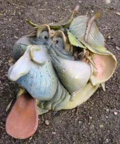 Garden Guy Toad House