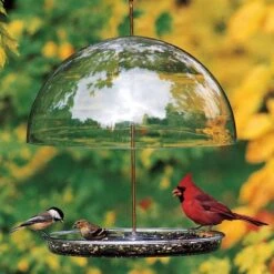 Dorothy’s Cardinal Bird Feeder