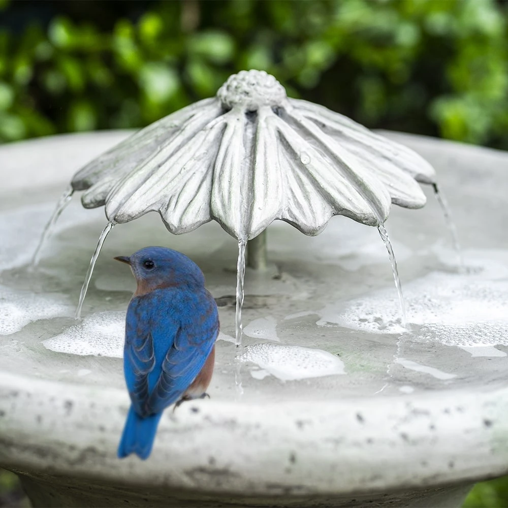 Flower Dripper Bird Bath Fountain 1 Flower Dripper Bird Bath Fountain