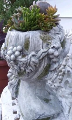 Large Lady Head Planter 10 Large Lady Head Planter -Pet Supplies Store Lady Head Planter Back Detail