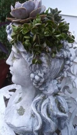 Large Lady Head Planter 9 Large Lady Head Planter -Pet Supplies Store Lady Head Planter Side Detail