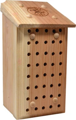 Mason Bee Lodge
