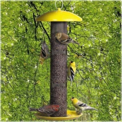 Yellow Finch Feeder By No-No