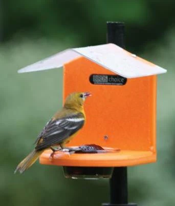 Recycled Pole Mount Oriole Feeder With Roof 1 Recycled Pole Mount Oriole Feeder With Roof