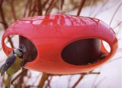 Koziol Retro Wild Bird Feeder