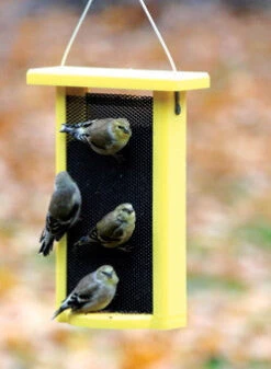 Recycled Nyjer Feeder