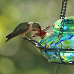 Solar Glass Hummingbird Feeder With Perch 9 Solar Glass Hummingbird Feeder With Perch -Pet Supplies Store Solar Hummingbird Feeder Detail