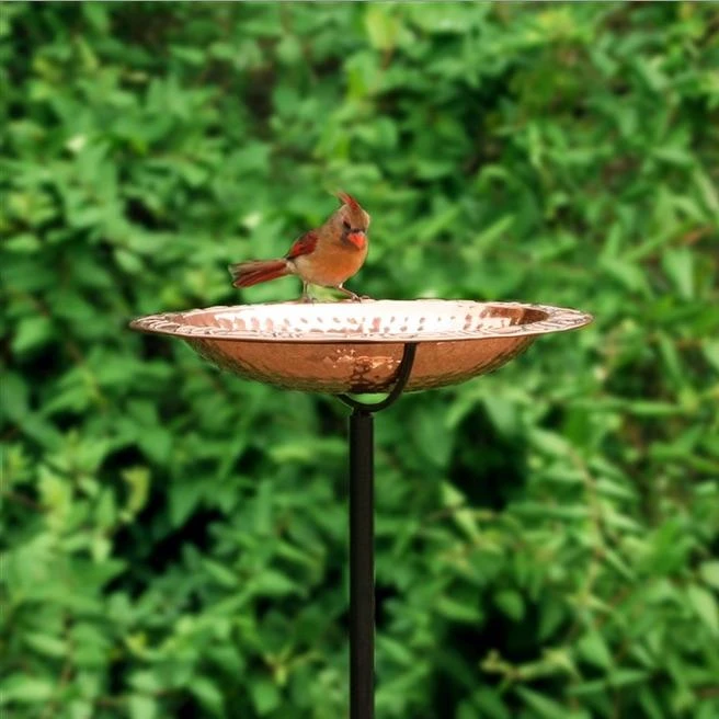 Solid Copper Staked Bird Bath- 2 Sizes 1 Solid Copper Staked Bird Bath- 2 Sizes