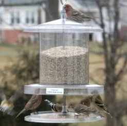 Songbird All-Weather Feeder 4 Or 6 Qt.