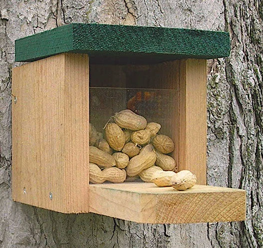 Squirrel Feeder Munch Box 1 Squirrel Feeder Munch Box