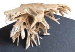 Teak Root Console Table -Pet Supplies Store Teak Root Console Table 50 inch