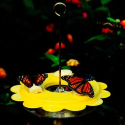 The Flutterby Butterfly Feeder