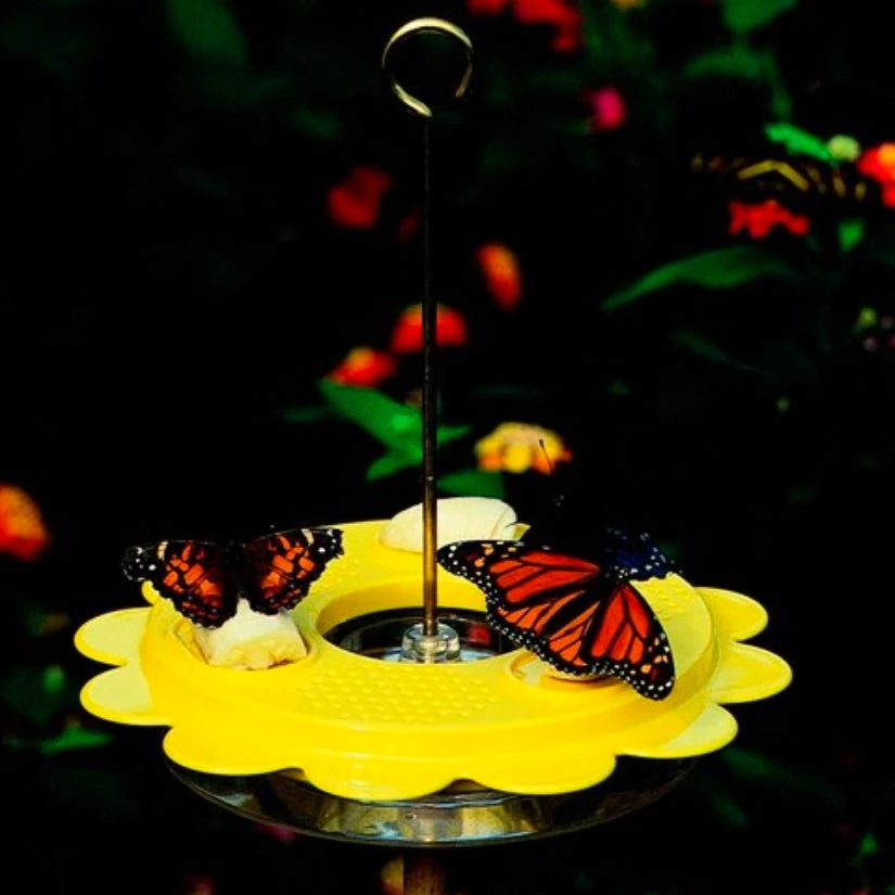 The Flutterby Butterfly Feeder 1 The Flutterby Butterfly Feeder