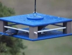 Gilbertson Hanging Bluebird Feeder -Pet Supplies Store hanging bluebird feeder