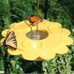 The Flutterby Butterfly Feeder 5 The Flutterby Butterfly Feeder -Pet Supplies Store hanging butterfly feeder