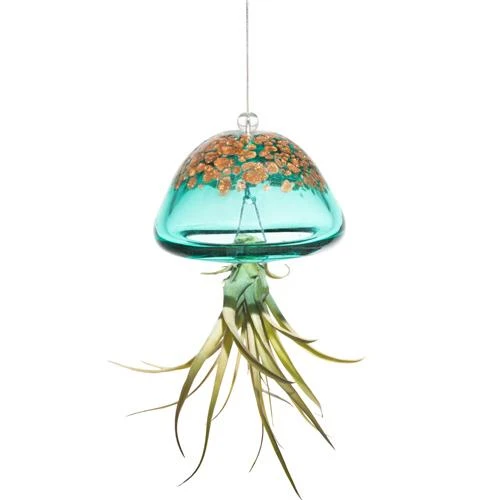 Jellyfish Air Plant Hangers Set/3 4 Jellyfish Air Plant Hangers Set/3 - Image 4