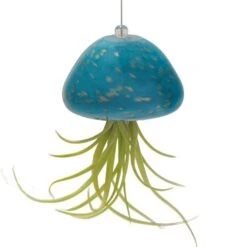 Jellyfish Air Plant Hangers Set/3 6 Jellyfish Air Plant Hangers Set/3 -Pet Supplies Store jellyfish air plant hanger teal
