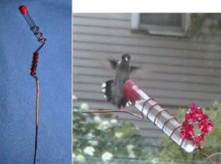 Charmer Hand-Held Hummingbird Feeder Set