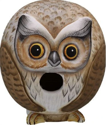 Gord-O Owl Wooden Birdhouse 1 Gord-O Owl Wooden Birdhouse