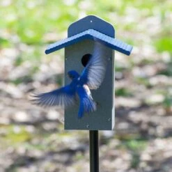 Recycled Bluebird House