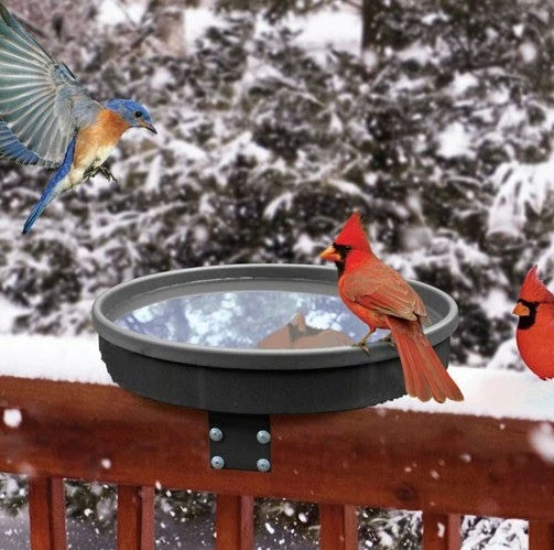 Songbird Spa Heated Deck-Mount Bird Bath 1 Songbird Spa Heated Deck-Mount Bird Bath