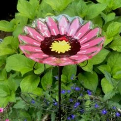 Staked Butterfly Feeder Or Bath