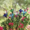Mini-Blossom Hummingbird Feeders- Staked
